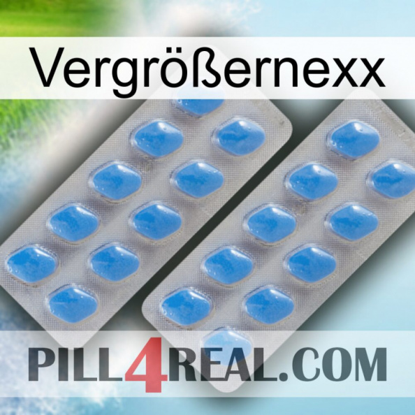 Vergrößernexx 23